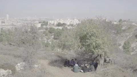 Youth group sitting under tree with view Video stock 82232539