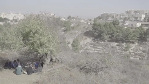 Youth group sitting under tree with view 2 Video stock 82232641