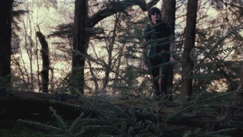 Youth Hiking Up Through Forest Stock Footage 73428921