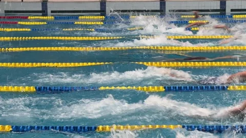Youth swimming competitions in the pool Stock Footage 319407341