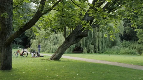 Youths at the green park Stock Footage