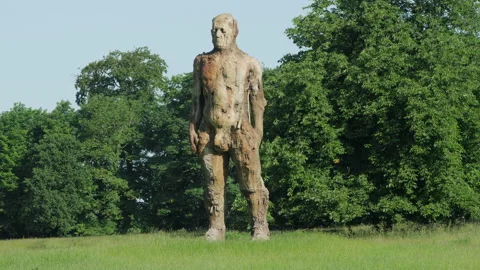 The Yoxman Stock Footage 196954564