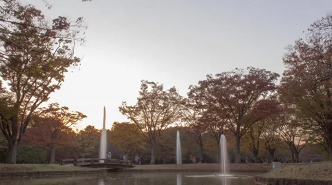 Yoyogi Park Stock Footage 47621190