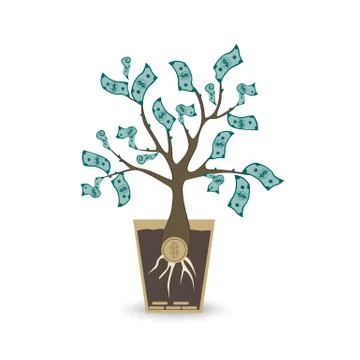 Ypung money tree. Isolated vector object on white background. Stock Illustration