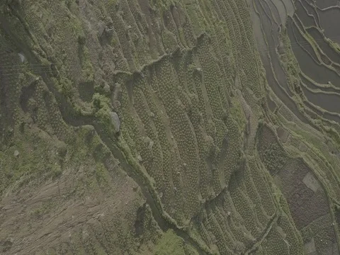 YuanYang Rice Terraces - Aerial Footage Stock Footage