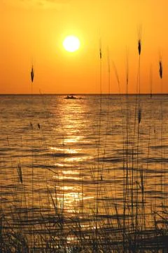 Yucatan peninsula beach Stock Photos