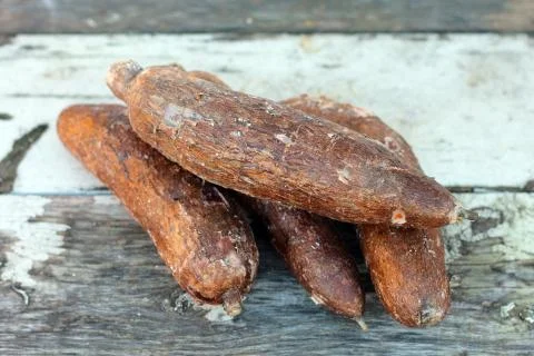 Yucca root on the table Stock Photos