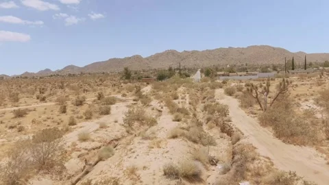 Yucca Valley Desert Video stock 243771869