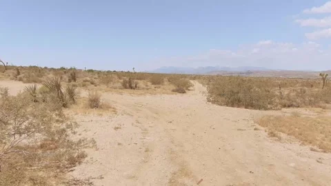 Yucca Valley Desert Video stock 243771872
