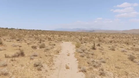 Yucca Valley Desert Video stock 243771876