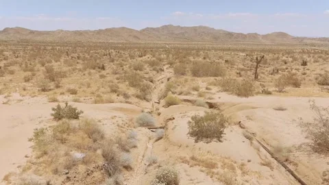 Yucca Valley Desert Video stock 243771889