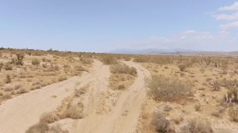 Yucca Valley Desert Video stock 243771898