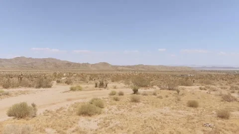 Yucca Valley Desert Video stock 243771953