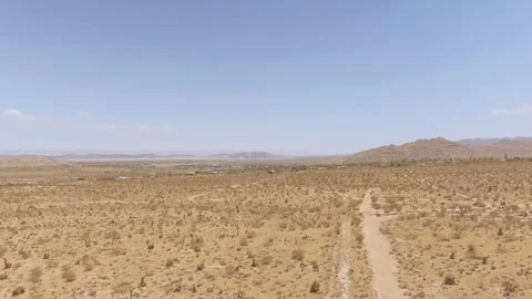 Yucca Valley Desert Video stock 243771954