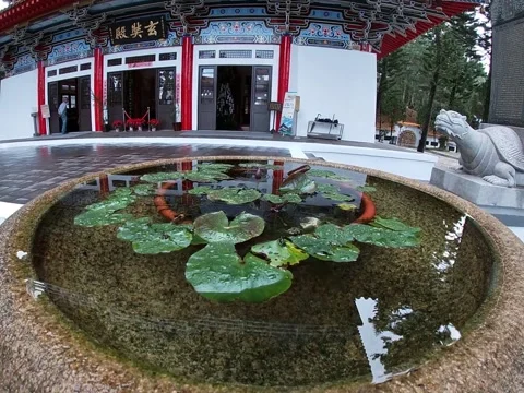Yuchi, Taiwan – 2019, Dec 30: Lotus Pond at Syuentzang Temple Stock Footage 345346010