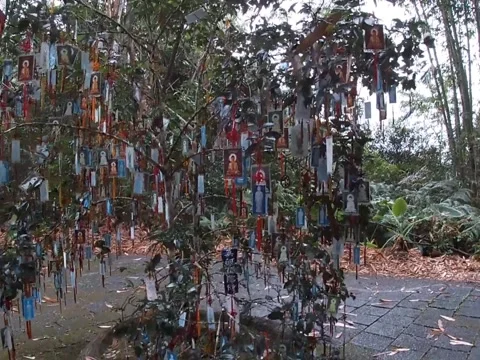 Yuchi, Taiwan – 2019, Dec 30: Tree Covered with Buddhist Prayer and Wish Tags Stock Footage 345346012