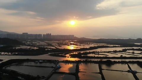 Yuen Long sunset fish pond Stock Footage 108931005
