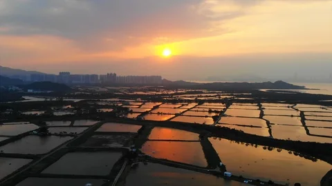 Yuen Long sunset fish pond Stock Footage 108932250