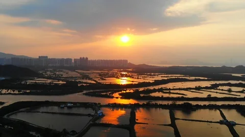 Yuen Long sunset fish pond Stock Footage 108933005