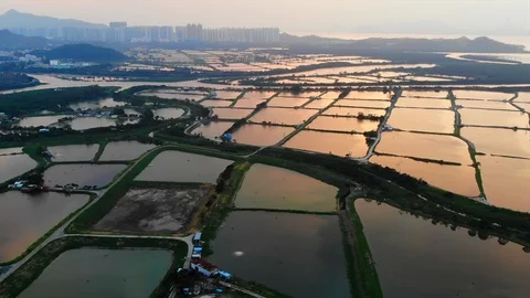 Yuen Long sunset fish pond Stock Footage 108933690