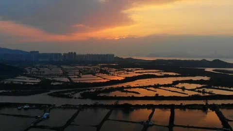 Yuen Long sunset fish pond Stock Footage 108935047