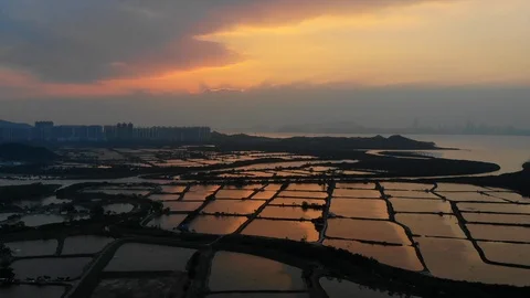 Yuen Long sunset fish pond Stock Footage 108935489