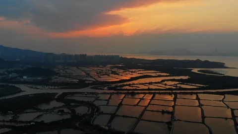 Yuen Long sunset fish pond Stock Footage 108936007