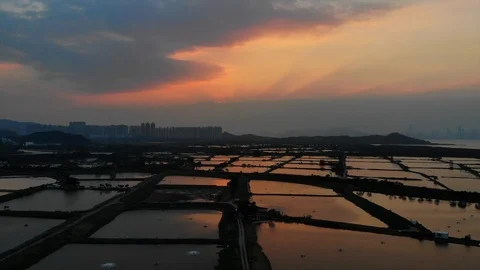 Yuen Long sunset fish pond Stock Footage 108936665