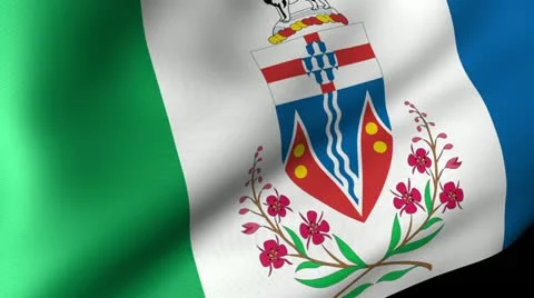 Yukon Flag Waving Video stock 11974162