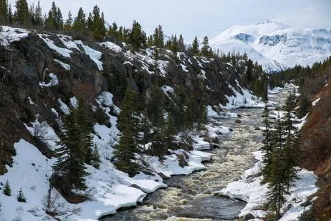 Yukon Mountains Stock Photos