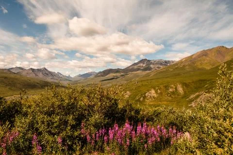 Yukon summer Stock Photos