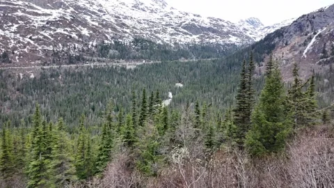Yukon views and mountains in the high railroad pass near Skagway, Alaska to Vídeo Stock 336796580