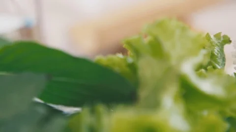Yummy dish of dill cabbage and citrus Stock Footage 73820582