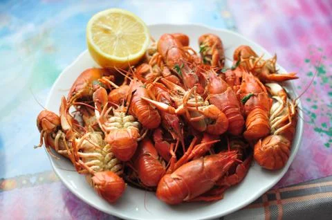 Yummy Stock Photos