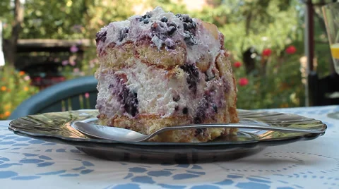 Yummy slice of cake on plate Video stock 29150808