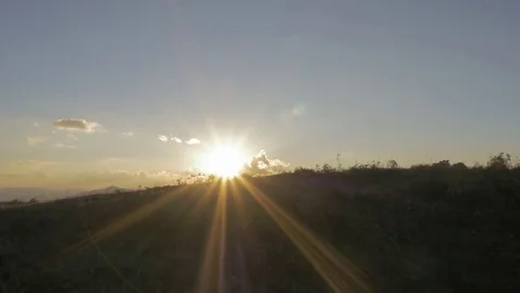 Yunnan forest sunshine forward 18 seconds Video stock 72559244
