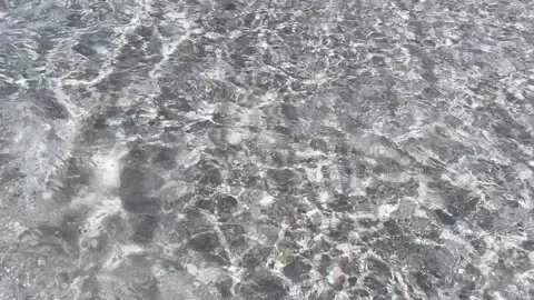 Yurigahama 05 Stock Footage 339612996