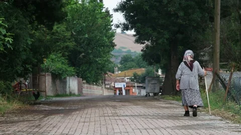 Yuruyen Teyze Stock Footage 134833463
