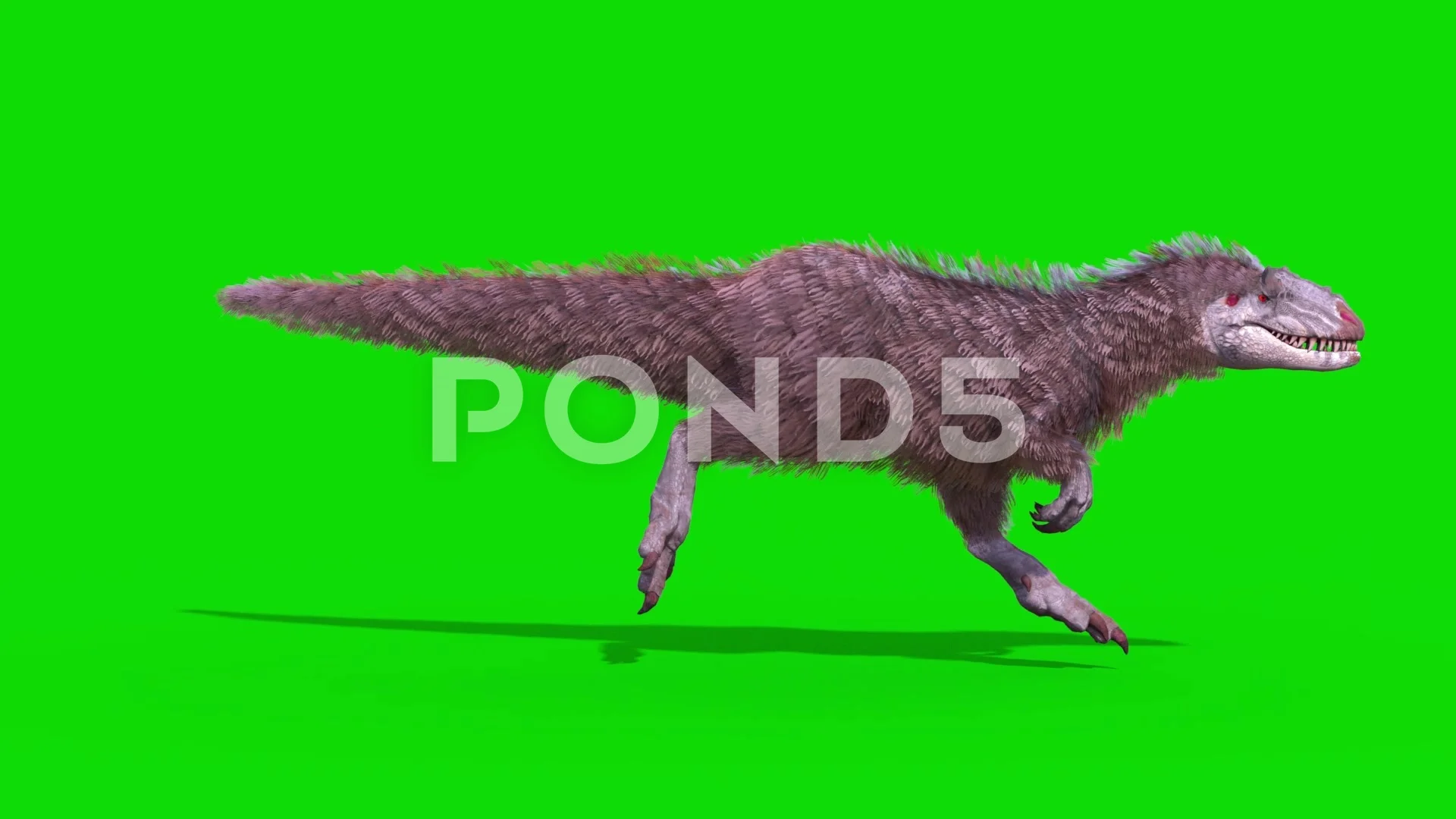 Yutyrannus Dinosaur - 3D Animation