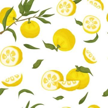 Yuzu seamless pattern. Citrus junos fabric design. Stock Illustration