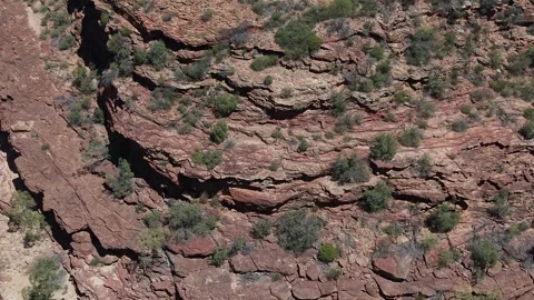 Z Bend Canyon With Murchison River, Kalbarri National Park, Western Australia. Stock-Footage 335165396
