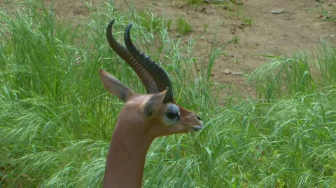 Z hdd 006 Stock Footage 706423