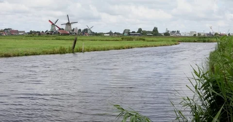 Zaanse Schans and its windmills landscape, Netherlands, Holland. Real Time. Stock Footage 78962308