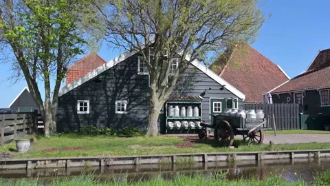 Zaanse Schans Video stock 132533534