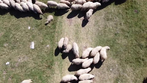 Zabljak Ships Video stock 140550780