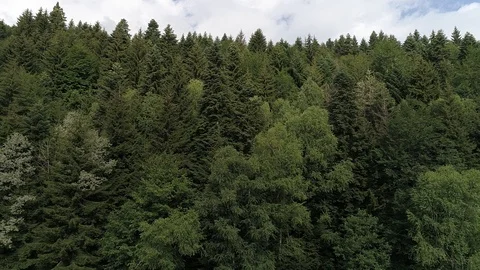 Zagan Stockbeeldmateriaal 112254389