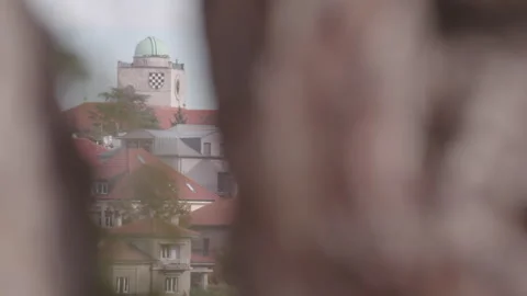 Zagreb Autumn View Tree Stockbeeldmateriaal 255884486