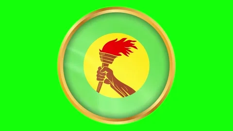 Zaire Round Framed Historical Wavy Flag. Circular Blowing Flag of the Repub.. Stock Footage 332996324