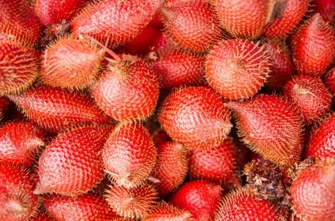 Zalacca fruit Stock Photos