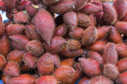 Zalacca pile Foto stock